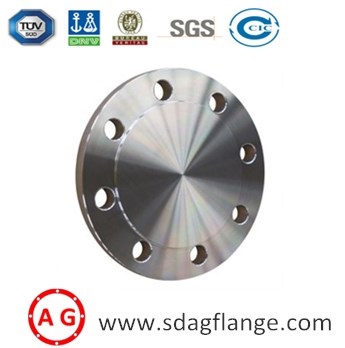 SEBAGAI Flange Flange