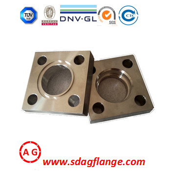 Flange Square Railing ISO9001 BV SGS Custom-Made